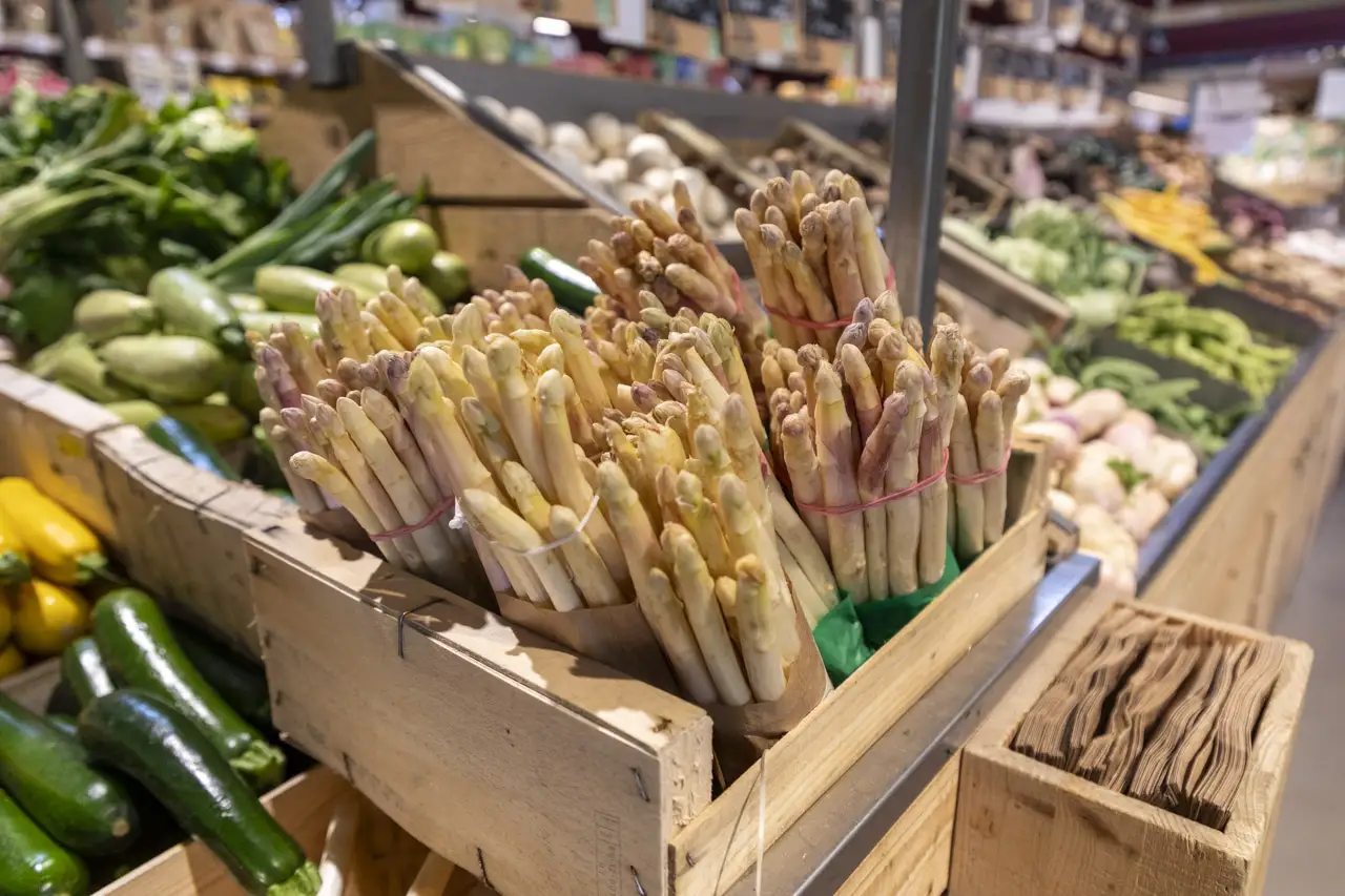 Alpilles Bio-Primeur -©Joel Lombard