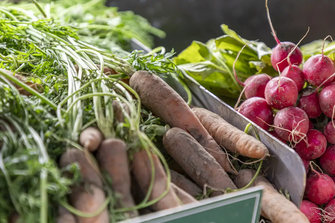 Alpilles Bio-Primeur -©Joel Lombard