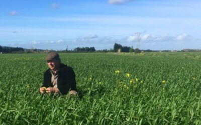 « Le temps du pain » : Rencontre avec Henri de Pazzis