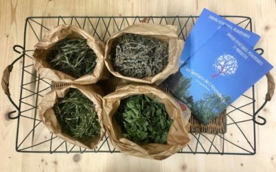 Les Tisanes du Sentier de l’Abondance